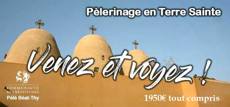 pele-terre-sainte.jpg